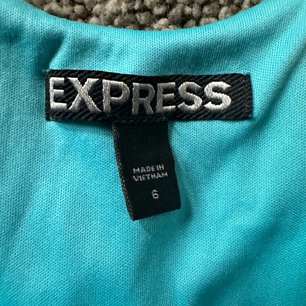 Express Dress - Picture 6 of 6